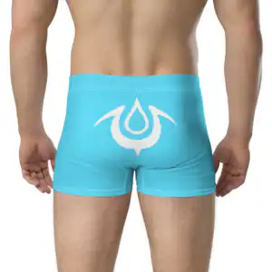 Brand of the Exalt - Chrom’s Boxer Briefs Rear angle of Mark of the Exalt Emblem Undies Fire Emblem Boxer Briefs with white crest design on blue
