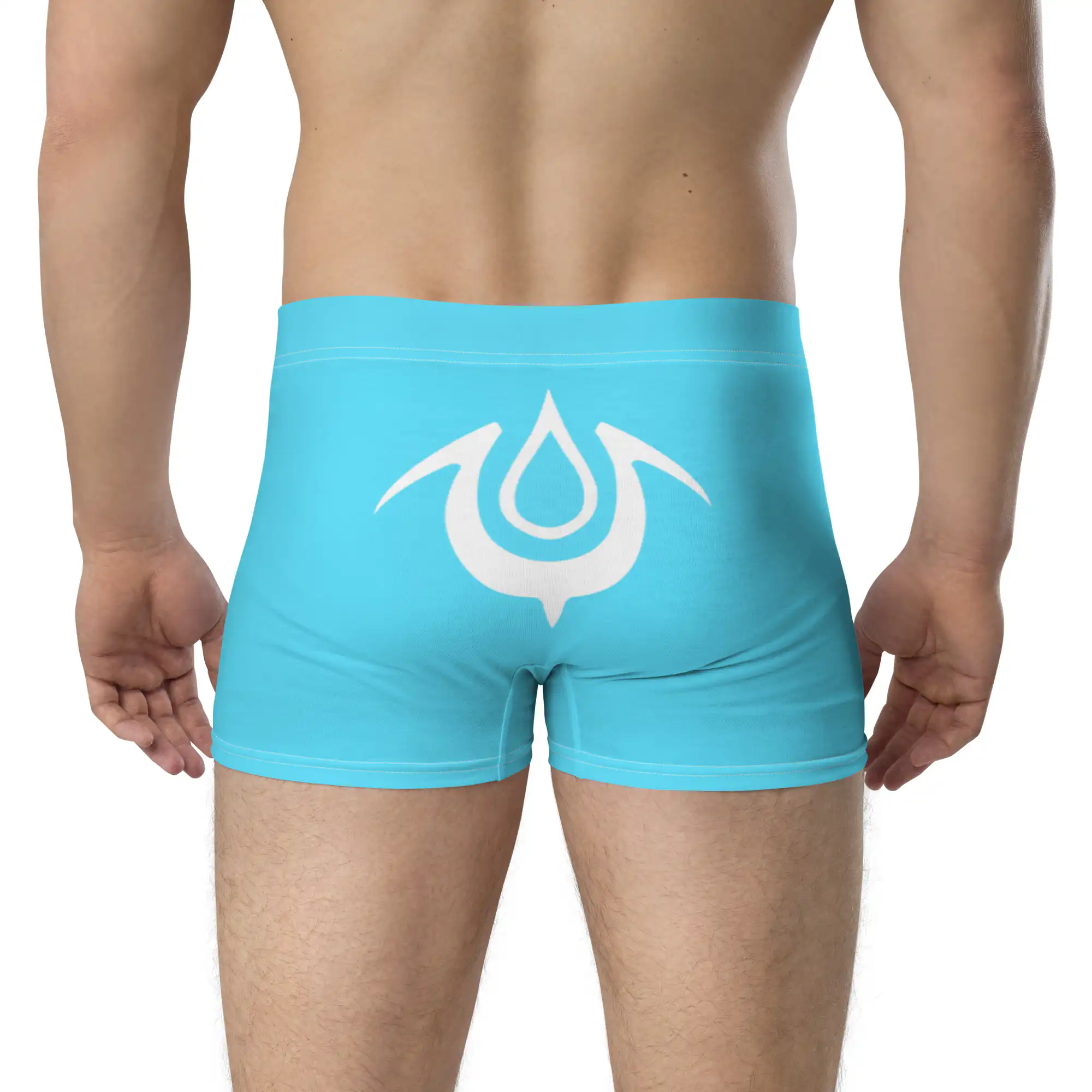 Brand of the Exalt - Chrom’s Boxer Briefs Rear angle of Mark of the Exalt Emblem Undies Fire Emblem Boxer Briefs with white crest design on blue