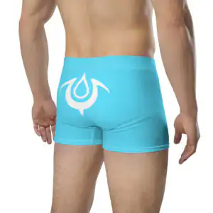 Brand of the Exalt - Chrom’s Boxer Briefs Back angled view showing white exalt symbol on Mark of the Exalt Emblem Undies Fire Emblem Boxer Briefs