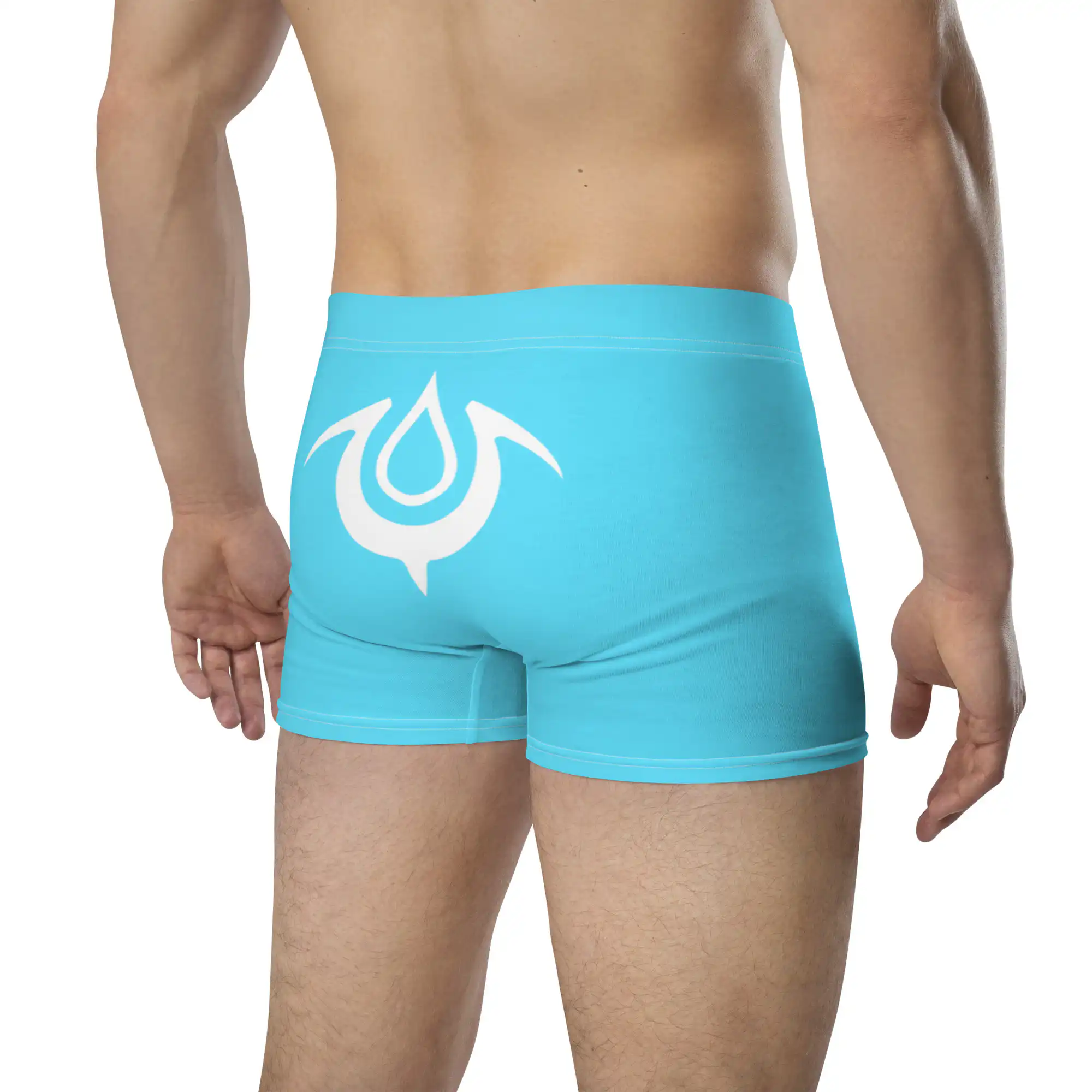 Brand of the Exalt - Chrom’s Boxer Briefs Back angled view showing white exalt symbol on Mark of the Exalt Emblem Undies Fire Emblem Boxer Briefs