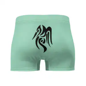 Full rear view highlighting centered Heron Brand crest on Fire Emblem Boxer Briefs Emblem Undies