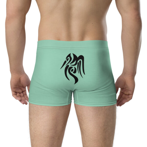 Back angled view displaying black Heron Brand mark on mint Emblem Undies Fire Emblem Boxer Briefs
