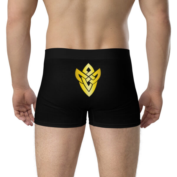 Straight back view of Fire Emblem Boxer Briefs highlighting centered emblem