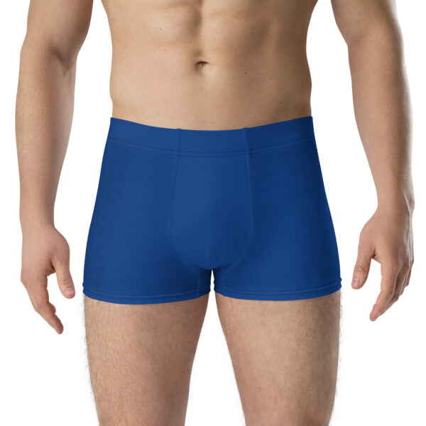 Front view of Blazing Blade Emblem Undies Fire Emblem Boxer Briefs in royal blue on male model