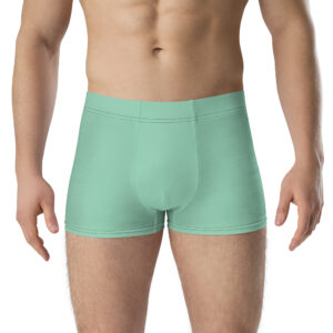 Front view of Heron Brand Emblem Undies Fire Emblem Boxer Briefs in mint green on male model