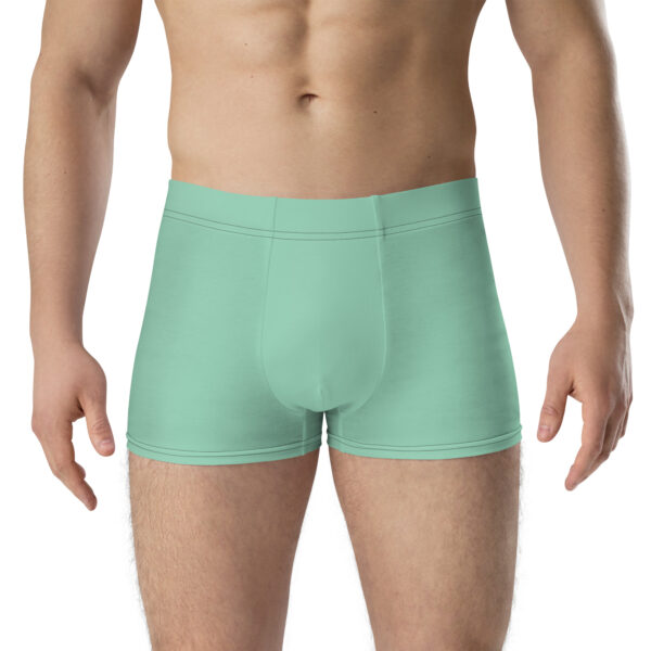 Front view of Heron Brand Emblem Undies Fire Emblem Boxer Briefs in mint green on male model
