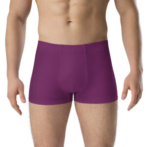Front view of Grimleal Emblem Undies Fire Emblem Boxer Briefs in purple on male model