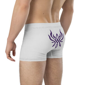 Back-side angled shot of Crest of Flames Emblem Undies Fire Emblem Boxer Briefs with stylized crest detail
