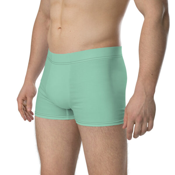 Opposite side profile of Heron Brand Emblem Undies Fire Emblem Boxer Briefs on male model
