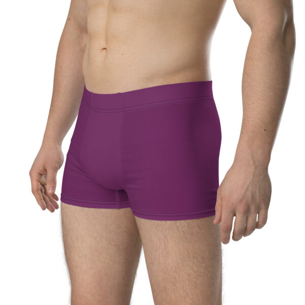 Opposite side angle of Grimleal Emblem Undies Fire Emblem Boxer Briefs on model