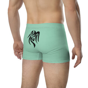 Side view showing fit and color of Heron Brand Fire Emblem Boxer Briefs Emblem Undies