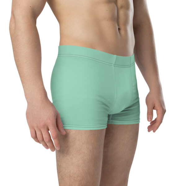 Angled view of Heron Brand Emblem Undies with subtle profile of Fire Emblem Boxer Briefs