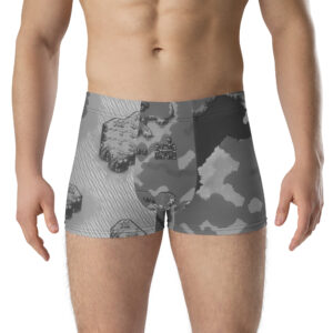 Fire Emblem Boxer Briefs featuring the Sigurd’s Remake design, front view on model.
